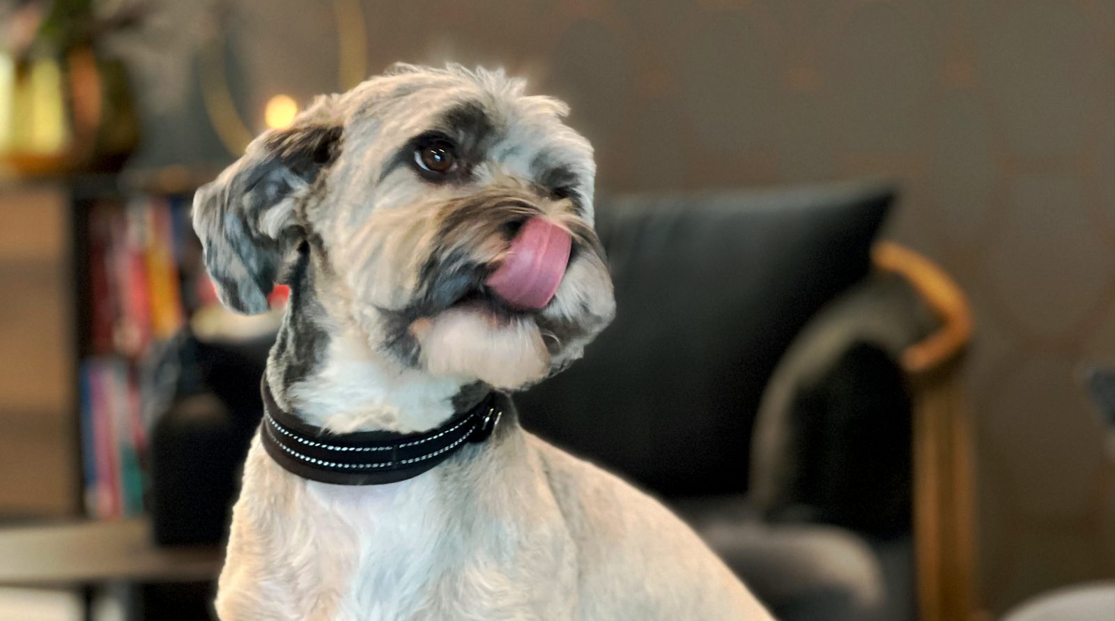 Chief Happiness Vofficer